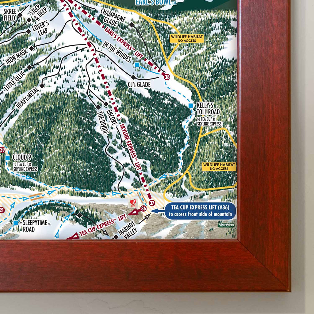 Vail Ski Resort Trail Map Poster – Mtns Co