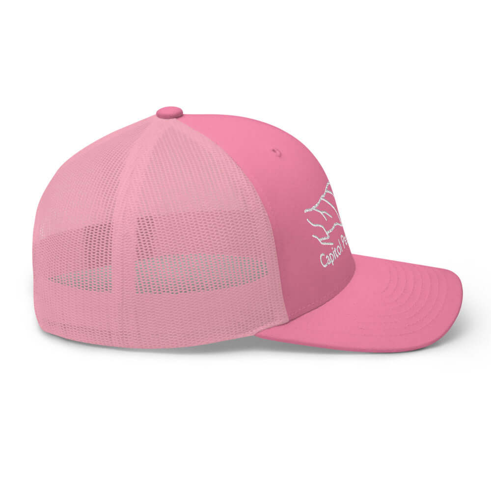 Capitol Peak Fourteener Classic Mesh Trucker Hat – Mtns Co